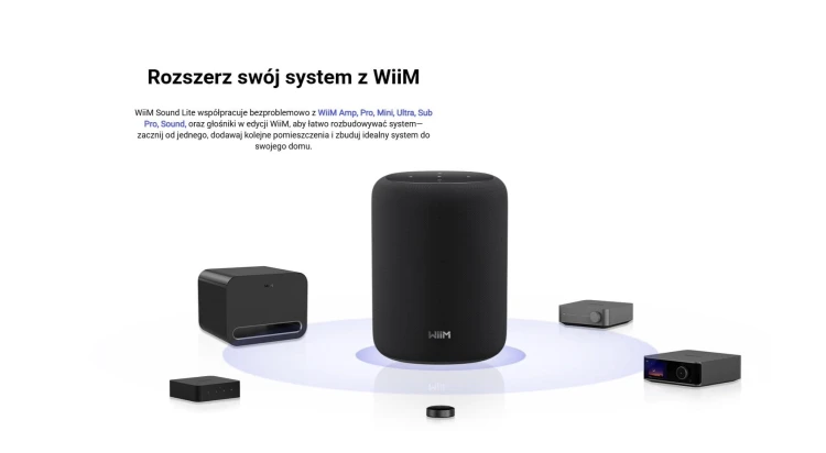 wiim-lite-black---proponowane-inne-wspolpracujace-urzadzenia-wiim.jpg