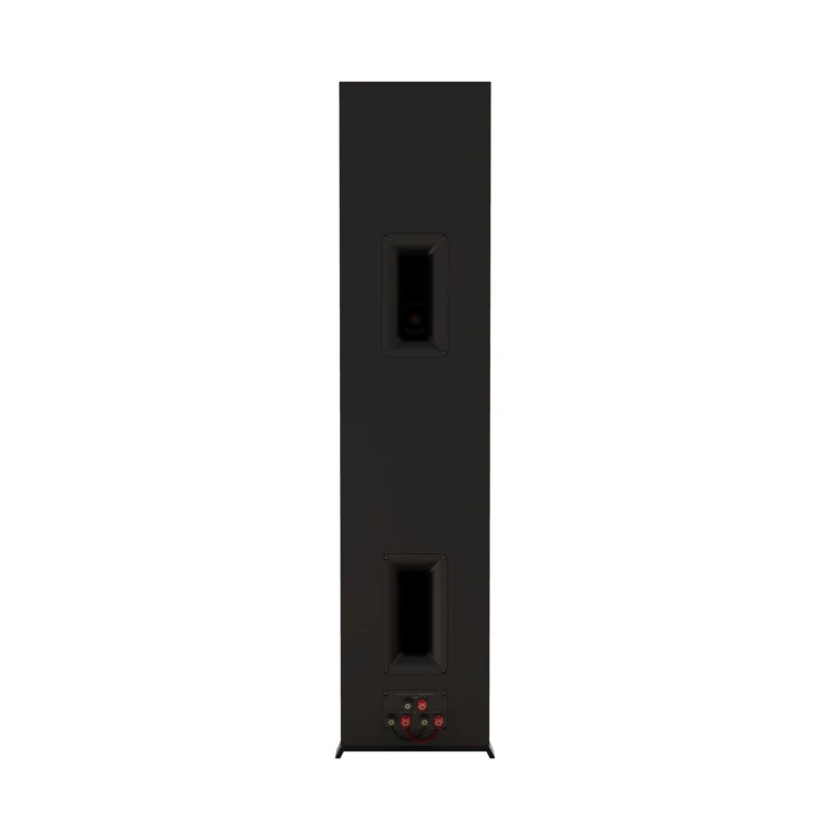 Web Ready-RP-8060FA-II - Back.jpg