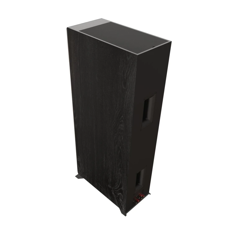 Web Ready-RP-8060FA-II - Black - Back Angle.jpg