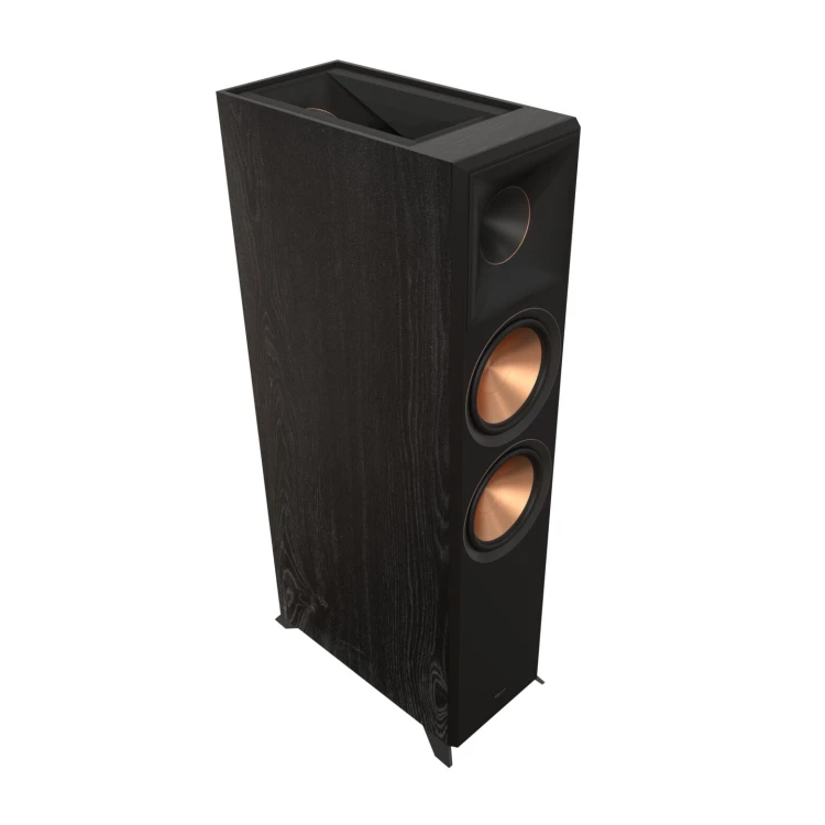 Web Ready-RP-8060FA-II - Black - Hero - Grille Off.jpg