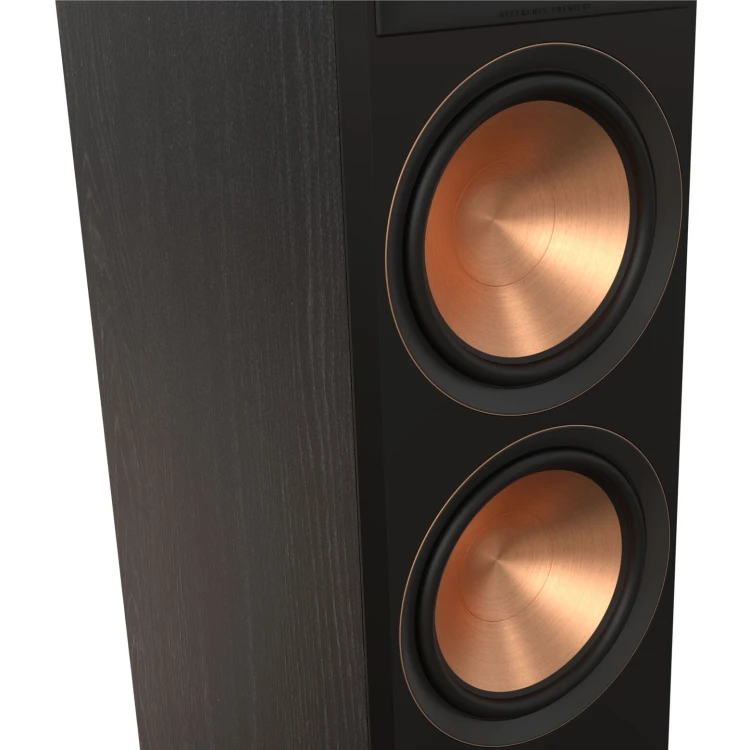 Web Ready-RP-8000F-II - Black - Woofer.jpg