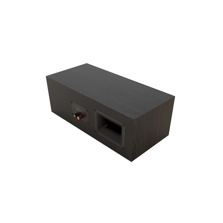 Web Ready-RP-500C-II - Black - Back Angle.jpg